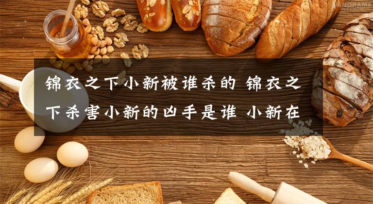 锦衣之下小新被谁杀的 锦衣之下杀害小新的凶手是谁 小新在第几集死的