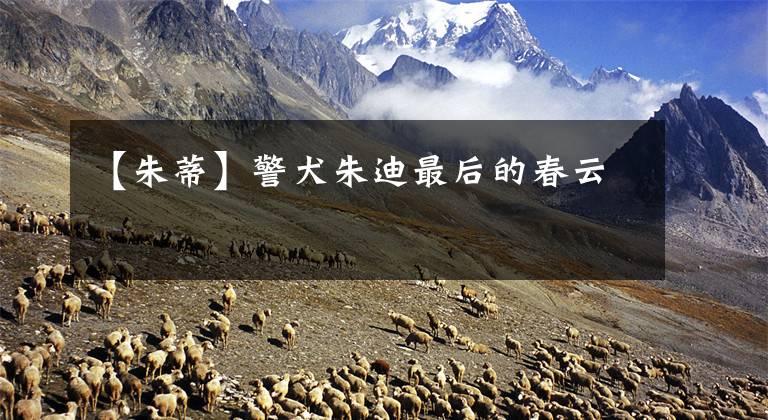【朱蒂】警犬朱迪最后的春云