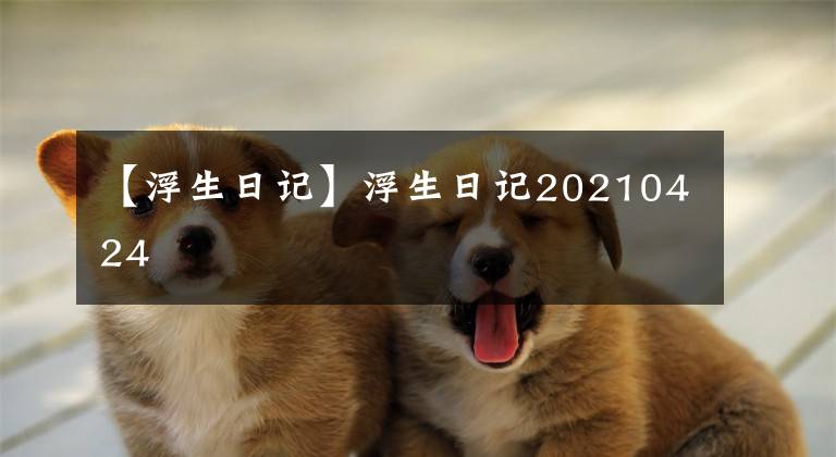 【浮生日记】浮生日记20210424