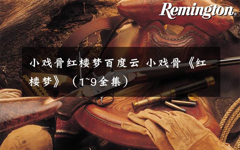 小戏骨红楼梦百度云 小戏骨《红楼梦》(1~9全集)