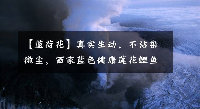 【蓝荷花】真实生动，不沾染微尘，画家蓝色健康莲花鲤鱼。