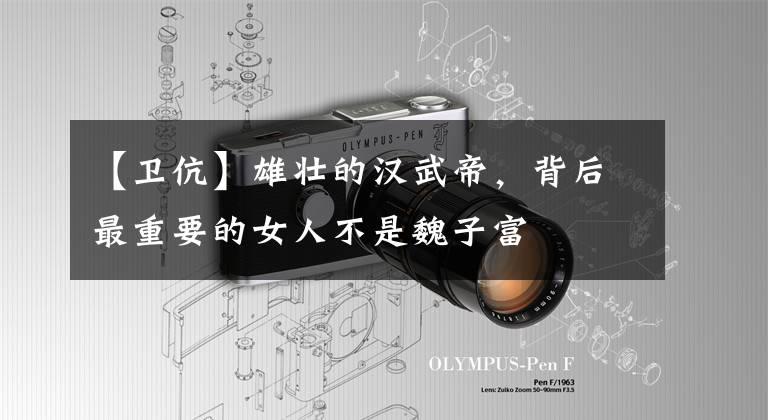 【卫伉】雄壮的汉武帝,背后最重要的女人不是魏子富