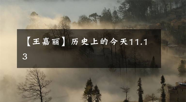 【王嘉丽】历史上的今天11.13