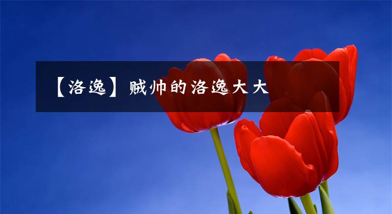 【洛逸】贼帅的洛逸大大