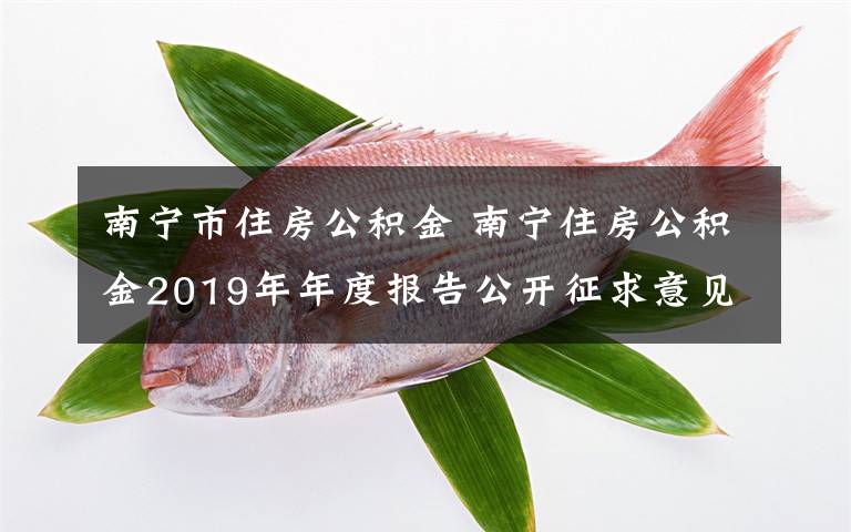 南宁市住房公积金 南宁住房公积金2019年年度报告公开征求意见
