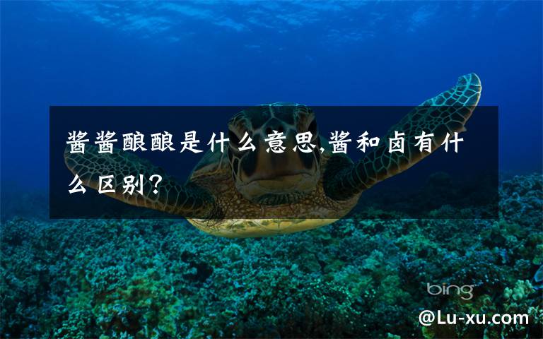 酱酱酿酿是什么意思,酱和卤有什么区别？