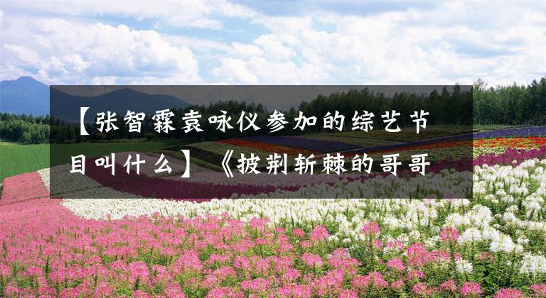 【张智霖袁咏仪参加的综艺节目叫什么】《披荆斩棘的哥哥》的《寻找张智霖》,为什么他在节目中镜头很少?