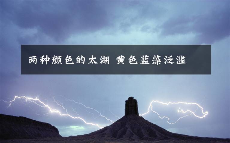 两种颜色的太湖 黄色蓝藻泛滥