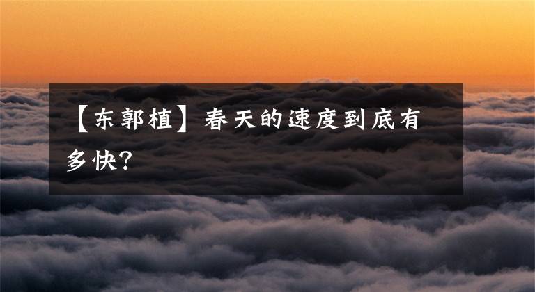 【东郭植】春天的速度到底有多快？