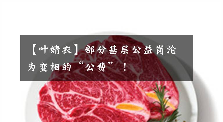 【叶婧衣】部分基层公益岗沦为变相的“公费”!