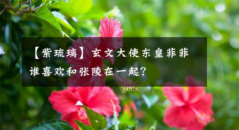 【紫琉璃】玄文大使东皇菲菲谁喜欢和张陵在一起?