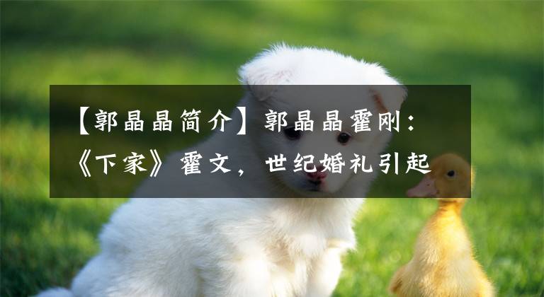 【郭晶晶简介】郭晶晶霍刚:《下家》霍文,世纪婚礼引起轰动,结婚8年来像第一次一样相爱。