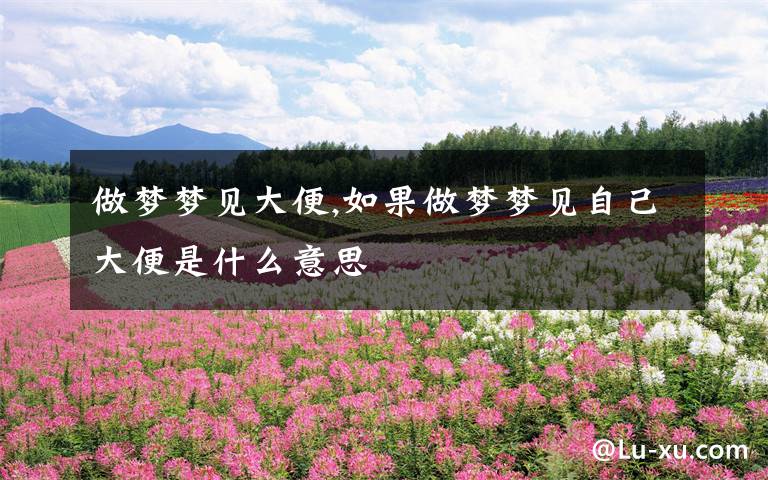 做梦梦见大便,如果做梦梦见自己大便是什么意思