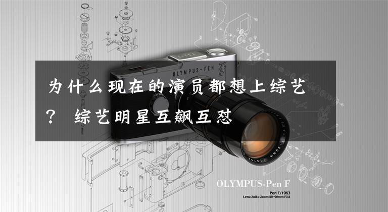 为什么现在的演员都想上综艺？ 综艺明星互飙互怼