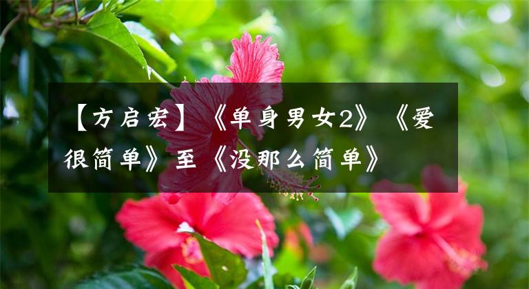 【方启宏】《单身男女2》《爱很简单》至《没那么简单》