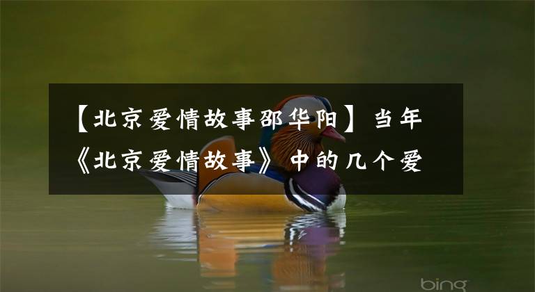 【北京爱情故事邵华阳】当年《北京爱情故事》中的几个爱情