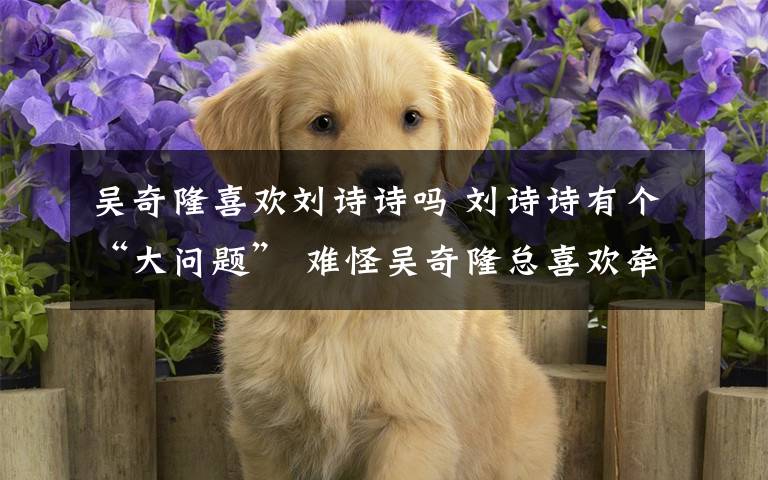 吴奇隆喜欢刘诗诗吗 刘诗诗有个“大问题” 难怪吴奇隆总喜欢牵着她的手