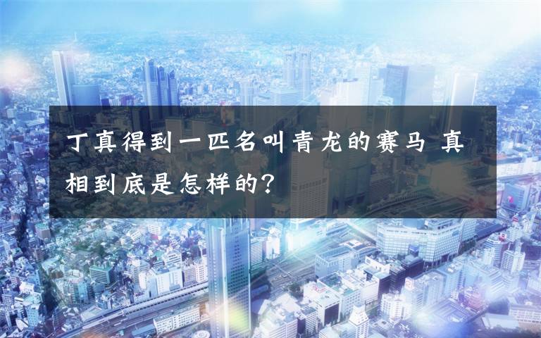 丁真得到一匹名叫青龙的赛马 真相到底是怎样的?