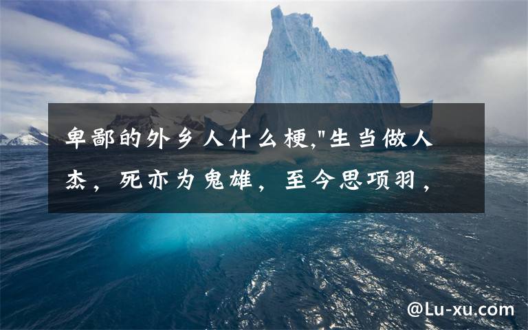 卑鄙的外乡人什么梗,