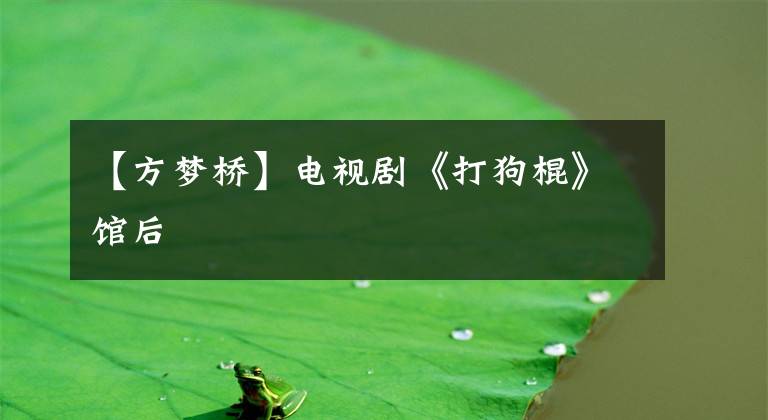 【方梦桥】电视剧《打狗棍》馆后