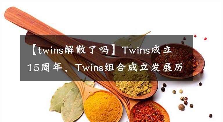 【twins解散了吗】Twins成立15周年,Twins组合成立发展历程公开。
