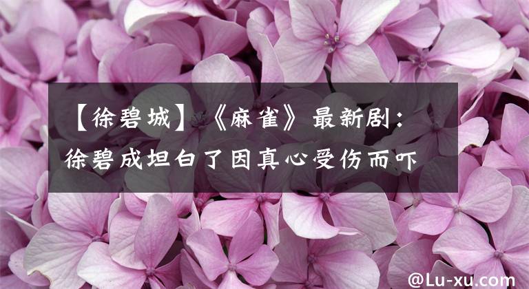 【徐碧城】《麻雀》最新剧:徐碧成坦白了因真心受伤而吓坏的行动处的宝宝们。