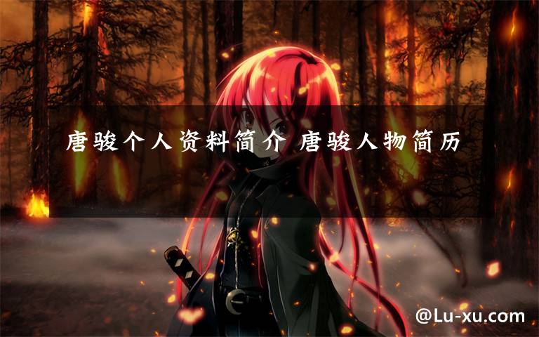 唐骏个人资料简介 唐骏人物简历