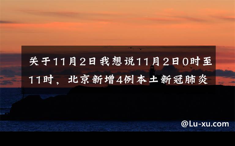 关于11月2日我想说11月2日0时至11时,北京新增4例本土新冠肺炎确诊病例