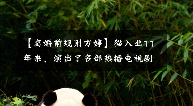 【离婚前规则方婷】猫入业11年来,演出了多部热播电视剧,但不温不火。2018年有望获得人气吗?