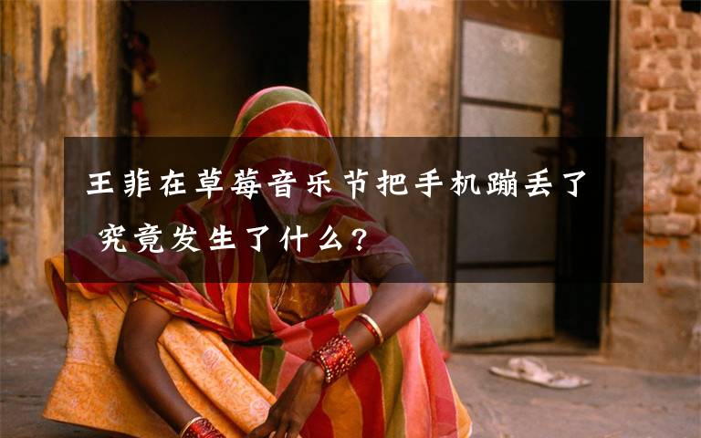 王菲在草莓音乐节把手机蹦丢了 究竟发生了什么?