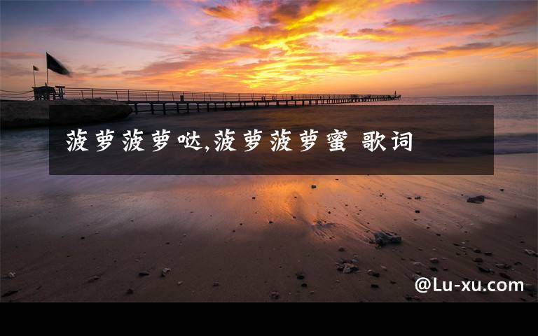 菠萝菠萝哒,菠萝菠萝蜜 歌词