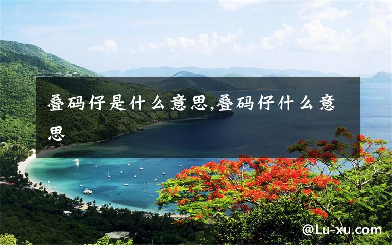 叠码仔是什么意思,叠码仔什么意思