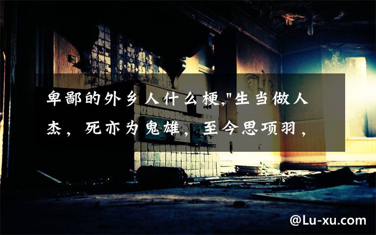 卑鄙的外乡人什么梗,