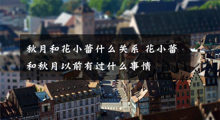 秋月和花小蕾什么关系 花小蕾和秋月以前有过什么事情