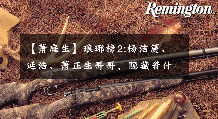 【萧庭生】琅琊榜2:杨洁篪、延浩、萧正生哥哥,隐藏着什么不寻常的深意?