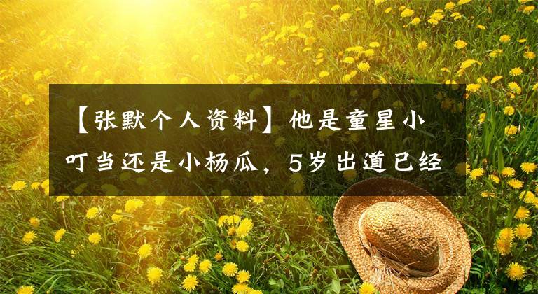 【张默个人资料】他是童星小叮当还是小杨瓜，5岁出道已经是老大叔了。(莎士比亚，《小王子》)。