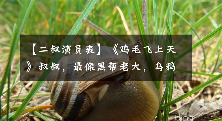 【二叔演员表】《鸡毛飞上天》叔叔,最像黑帮老大,乌鸦从不失去滋养,现在很幸福