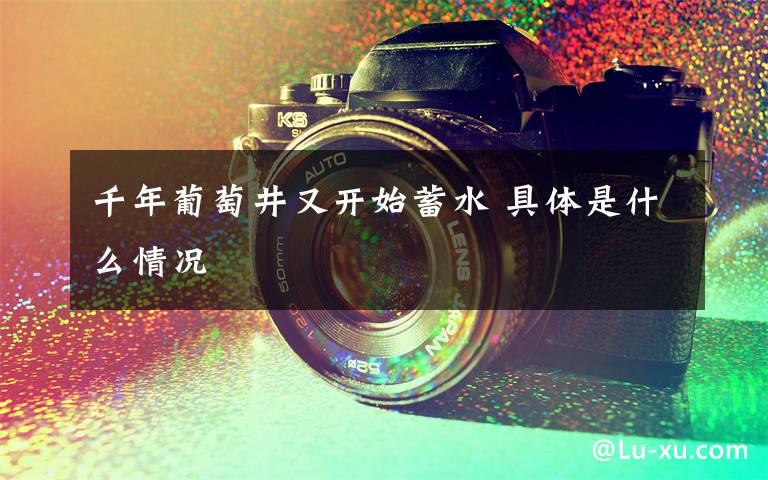 千年葡萄井又开始蓄水 具体是什么情况