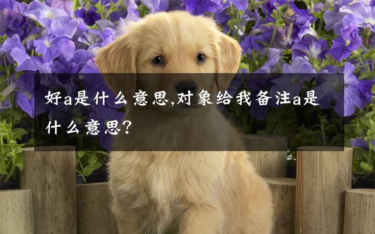 好a是什么意思,对象给我备注a是什么意思?