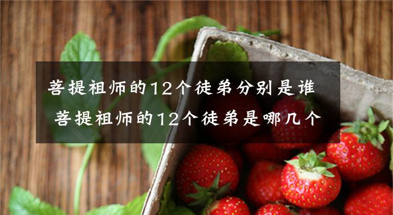 菩提祖师的12个徒弟分别是谁 菩提祖师的12个徒弟是哪几个 菩提的徒弟都有哪些人