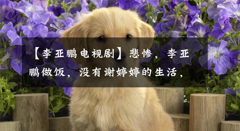 【李亚鹏电视剧】悲惨,李亚鹏做饭,没有谢婷婷的生活,却放弃谢婷婷的‘病’?