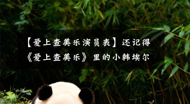 【爱上查美乐演员表】还记得《爱上查美乐》里的小韩埃尔吗?妹妹人气更高吗?