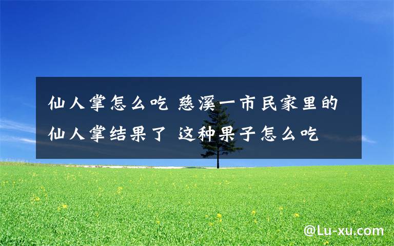 仙人掌怎么吃 慈溪一市民家里的仙人掌结果了 这种果子怎么吃