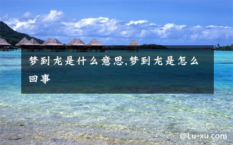 梦到龙是什么意思,梦到龙是怎么回事