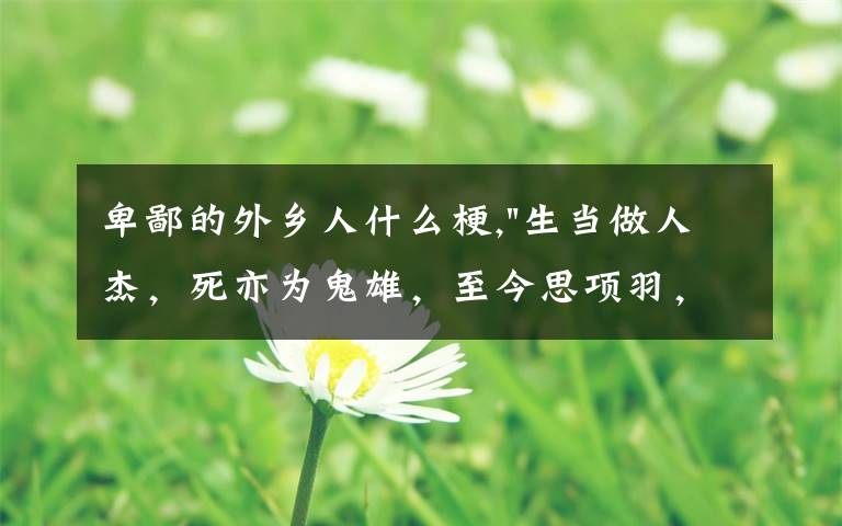 卑鄙的外乡人什么梗,