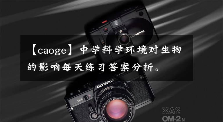 【caoge】中学科学环境对生物的影响每天练习答案分析。