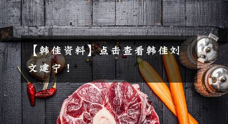 【韩佳资料】点击查看韩佳刘文建宁!