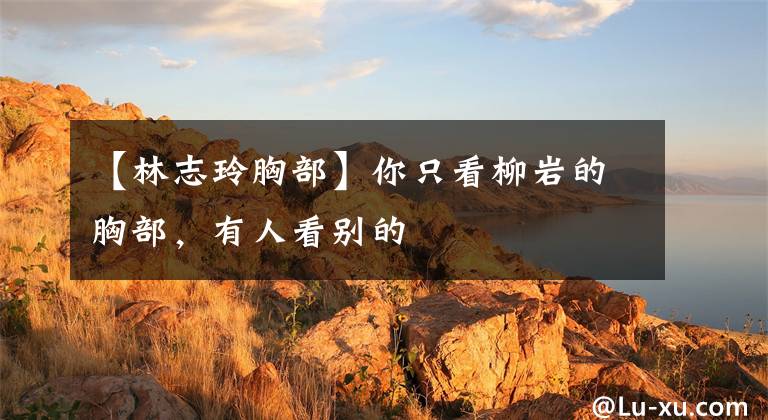 【林志玲胸部】你只看柳岩的胸部,有人看别的