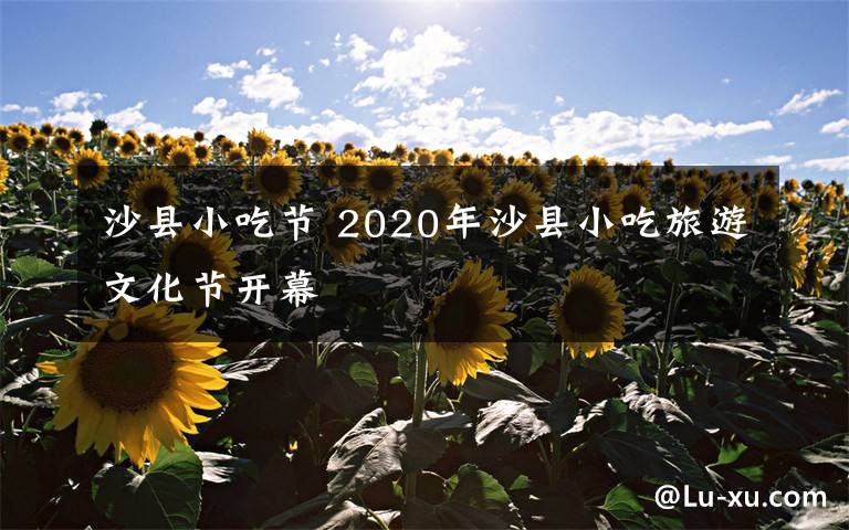 沙县小吃节 2020年沙县小吃旅游文化节开幕