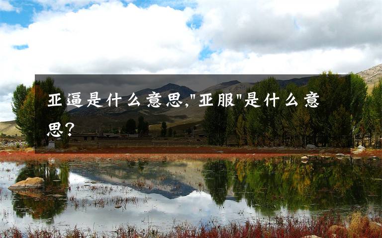 亚逼是什么意思,